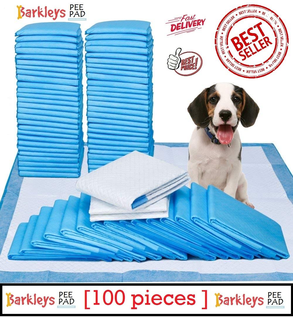 Pet Accessories Shop In Karachi Pet's Gallery