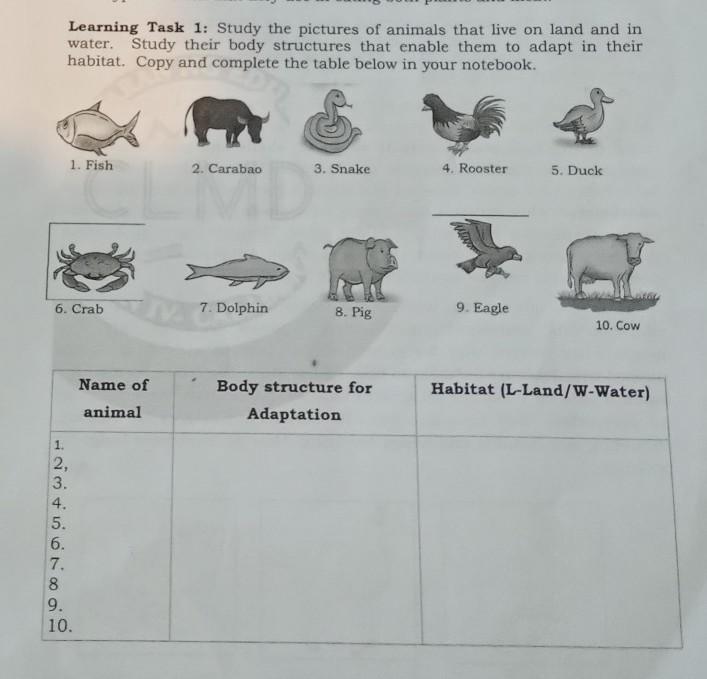 Learning Task 1 Study the pictures of animals that live on land and