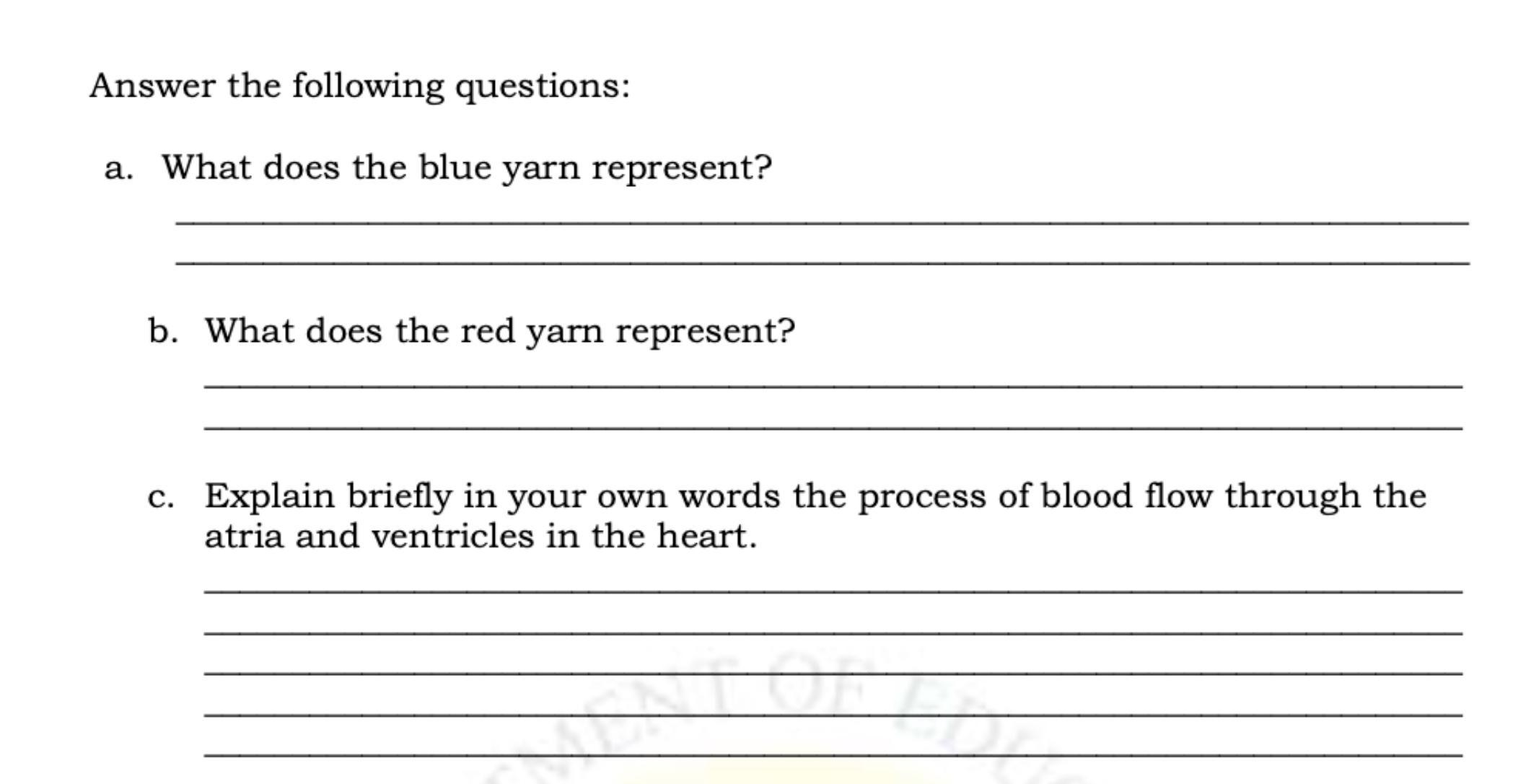 What does the blue yarn and red yarn represent? the circulatory system