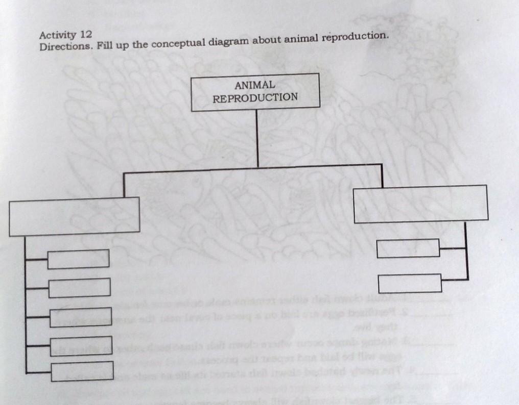 42 Animal Reproduction Diagram Plan Artplan