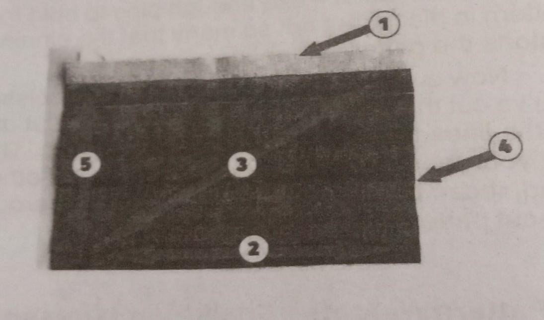 identify the different parts of fabric Brainly.ph