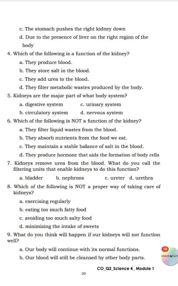 4. WHICH OF THE FOLLOWING IS A FUNCTION OF THE KIDNEY? Brainly.ph