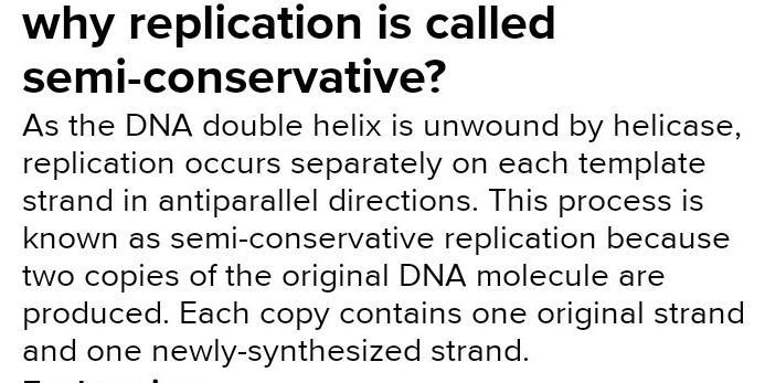 Why Replication Is Called Semi-Conservative? ​ - Brainly.ph