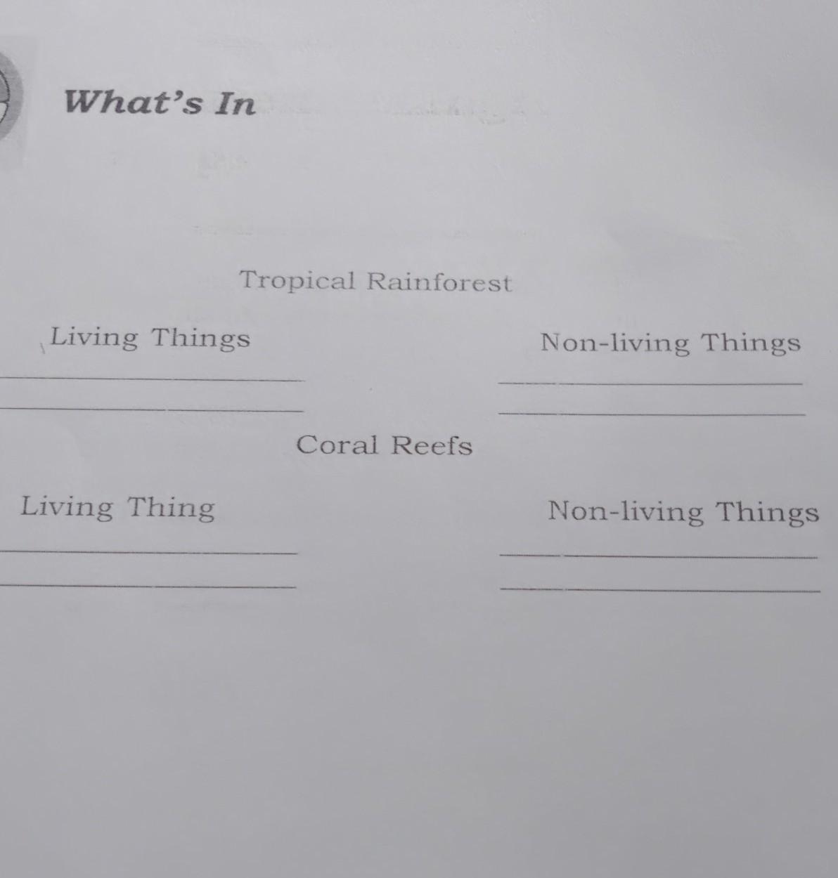 tropical rainforest Brainly.ph