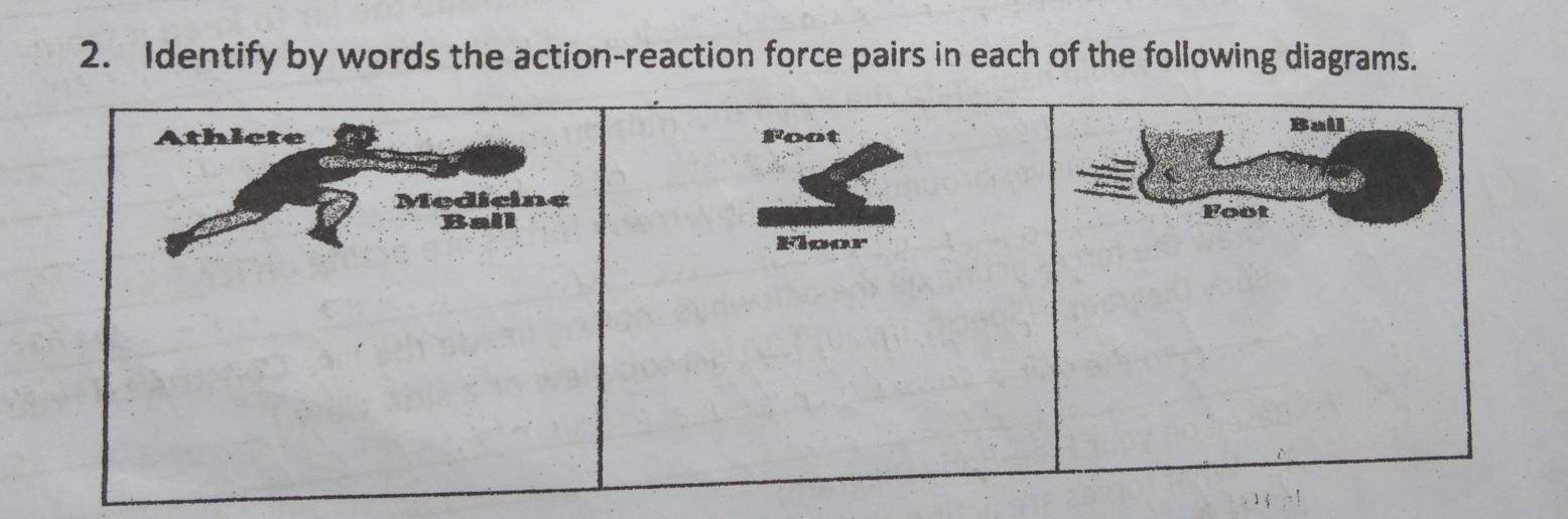 Identify by words the actionreaction force by pairs in each of the