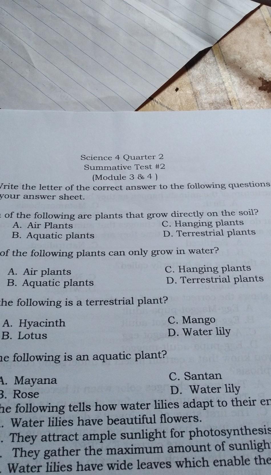 1. Which of the following are plants that grow directly on the soil? A