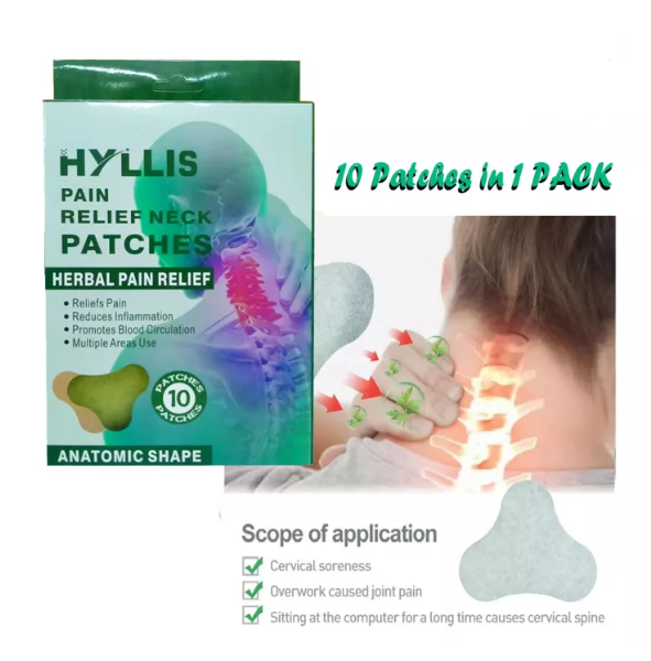 HYLLIS Pain Relief Neck Patches Herbal Pain Relief (10 Patches) Lazada PH
