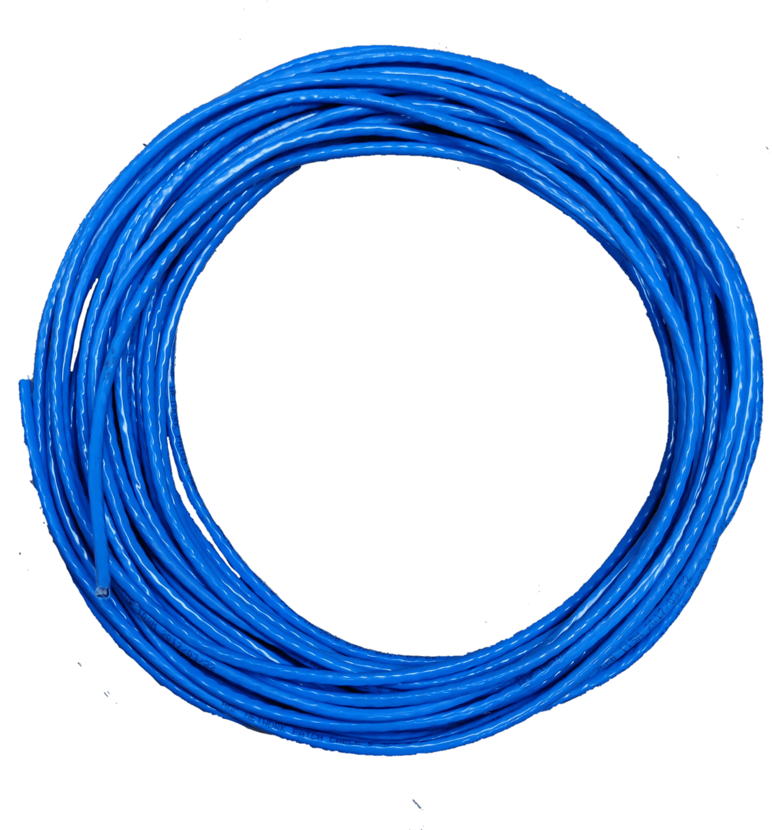 CAT 6 UTP Cable Cut Size, CAT6 Pre Cut Size Wires ( AMP) Lazada PH