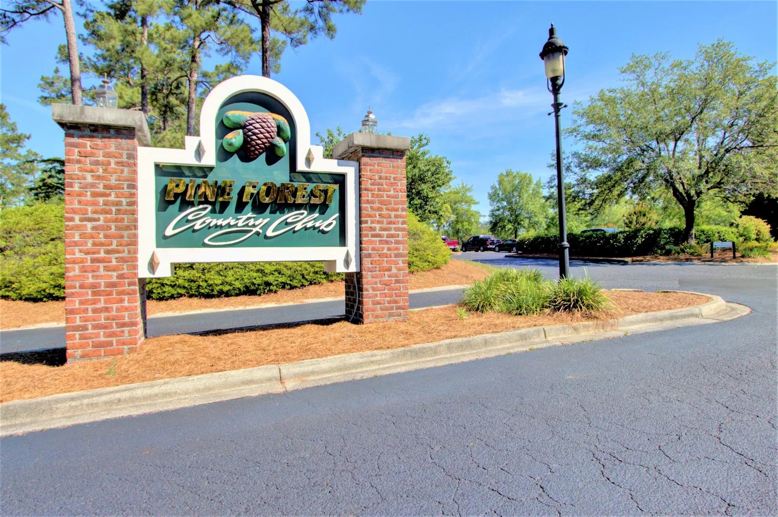101 Glen Abby Dr, Summerville, SC 29483 Home for Sale