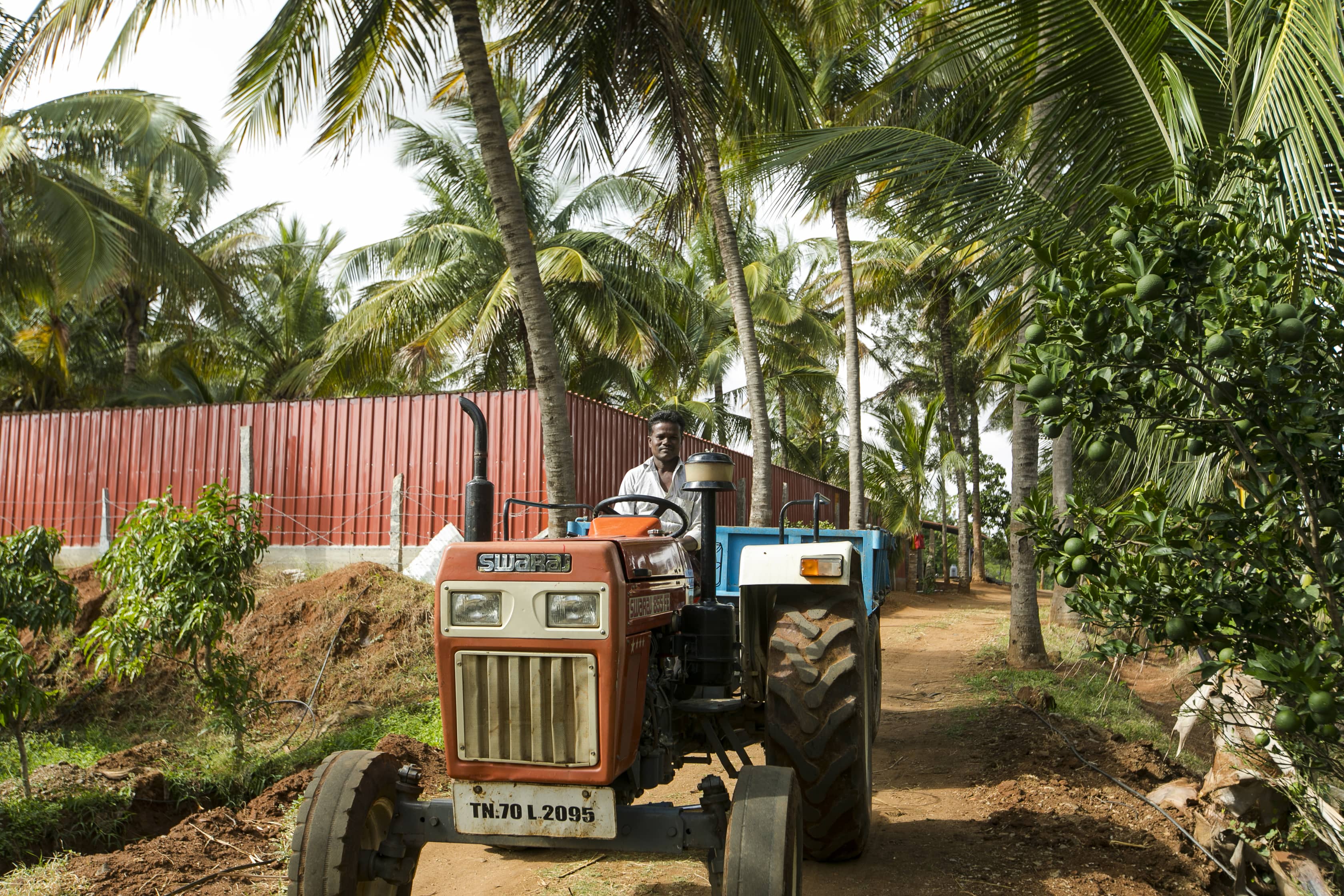 Phalamrutha Organic Cow Milk Desi Milk Butter A1 And A2 Milk