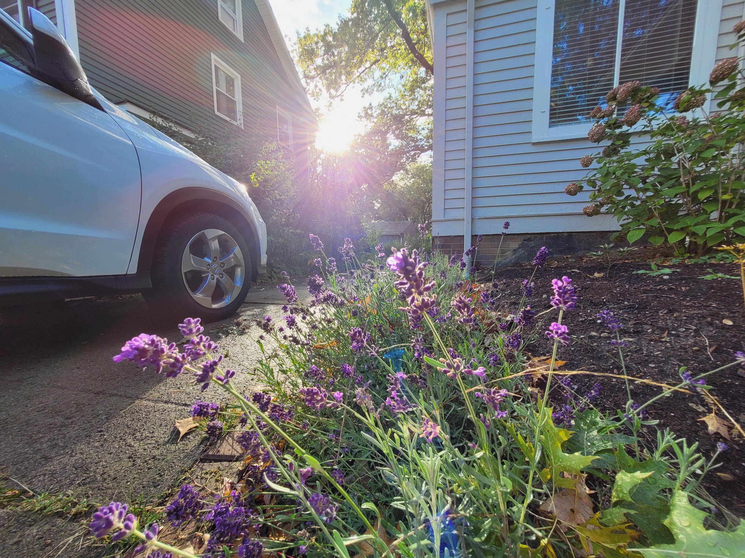 Samsung Galaxy Z Fold 2 camera test 120+ photos & videos Phandroid