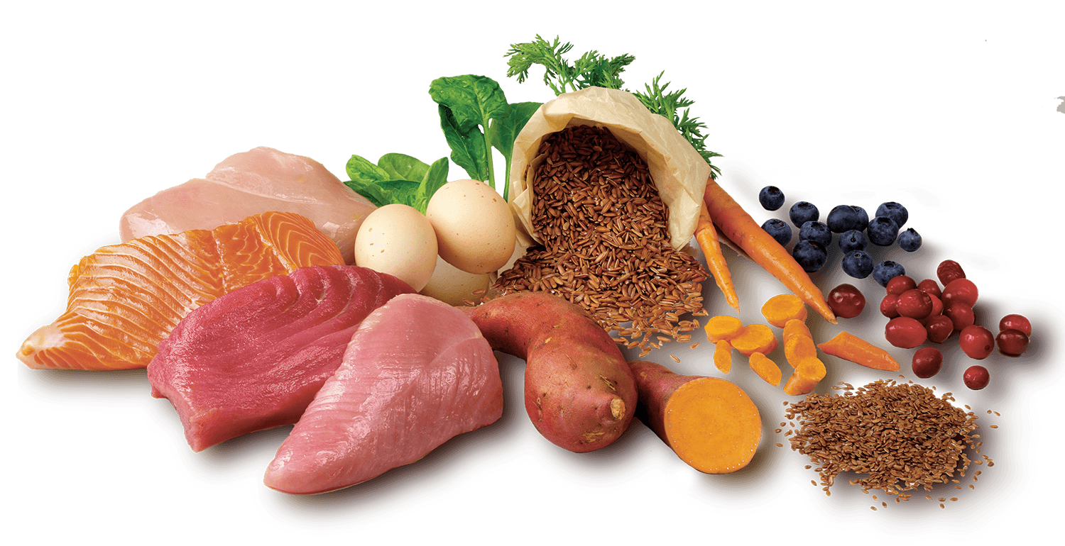 Changing to All Natural Pet Foods Phantom Chaser Blogs & Updates