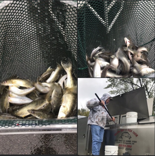 Annual Fish Stocking October 11th 10am Phantom Lakes Management