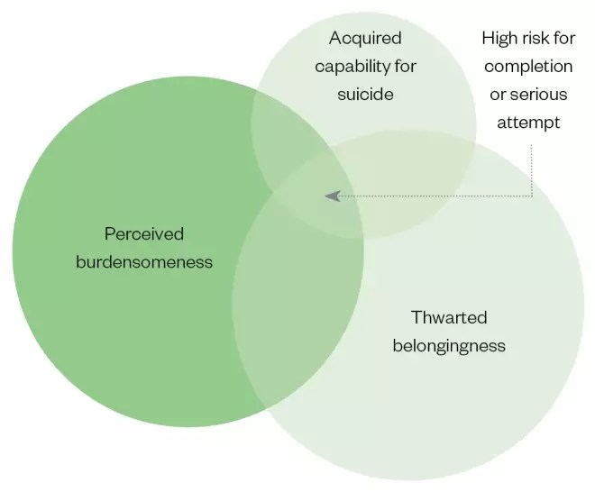 Suicide how to recognise the warning signs and deal with disclosure
