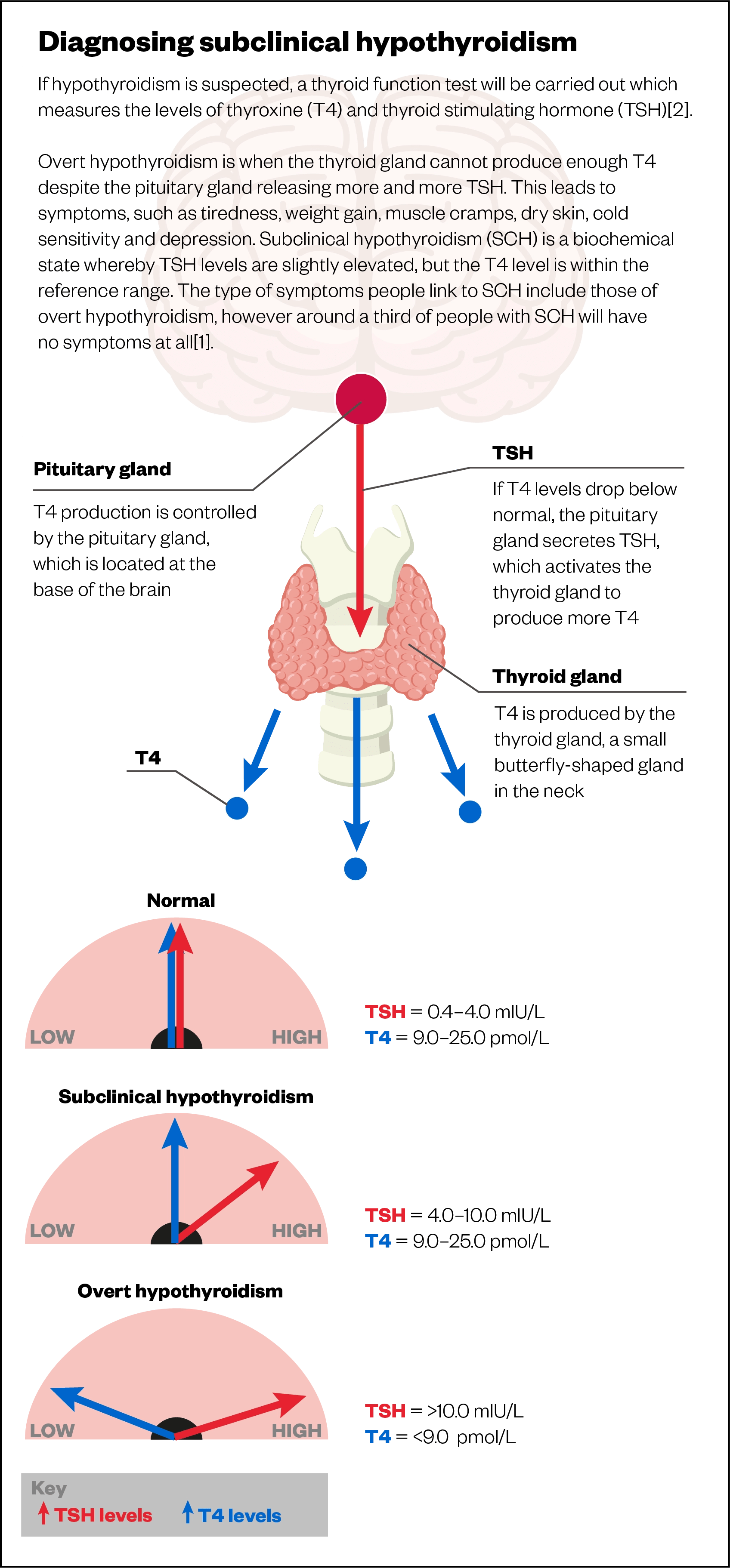 It's A Murky Business': The Row Over Levothyroxine Use In 'Subclinical' Disease - The Pharmaceutical Journal