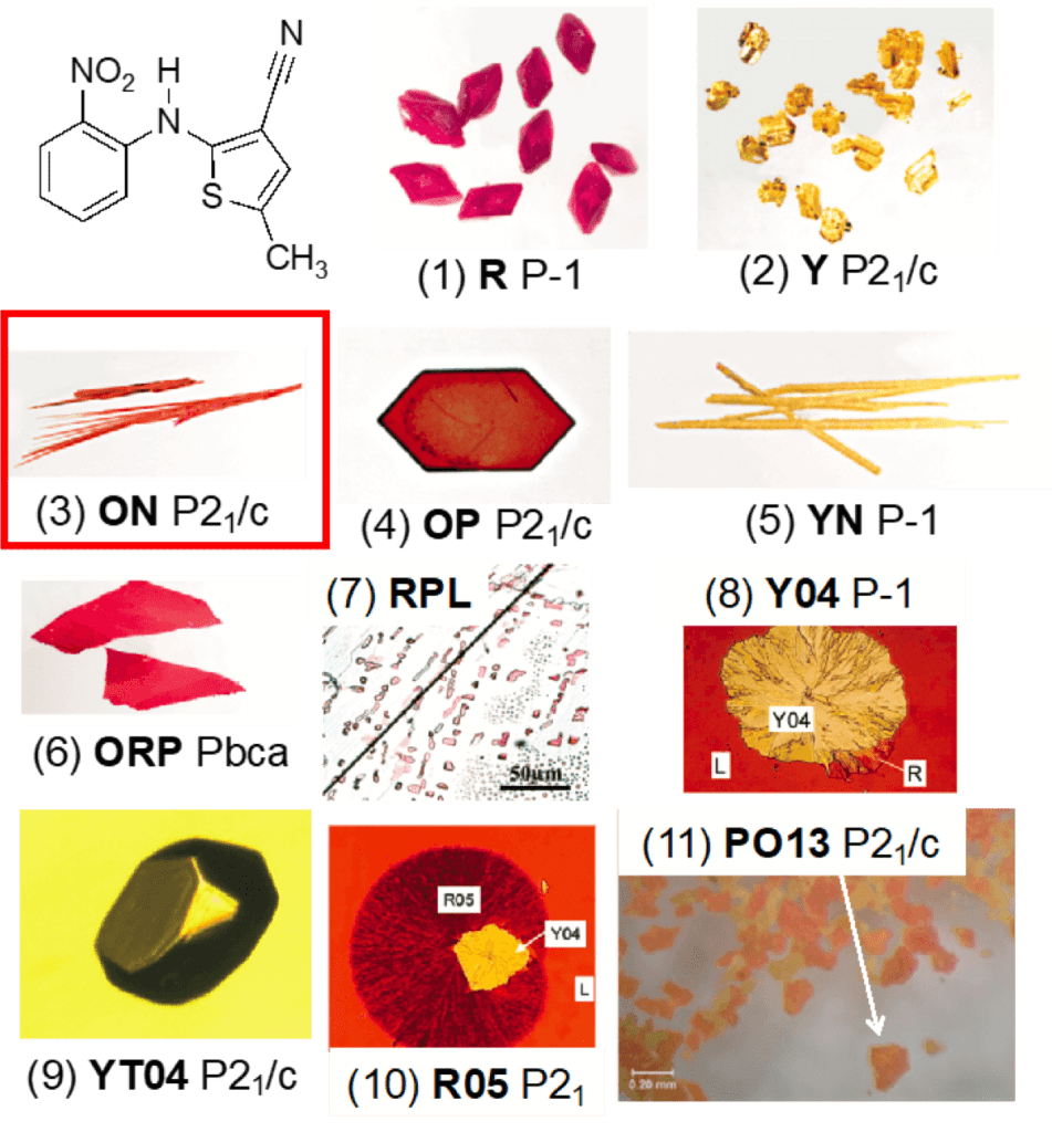Polymorphism of Organic Materials School of Pharmacy