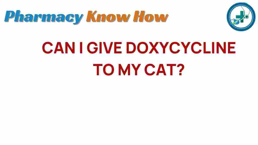 The Surprising Truth About Doxycycline for Cats Is It Safe
