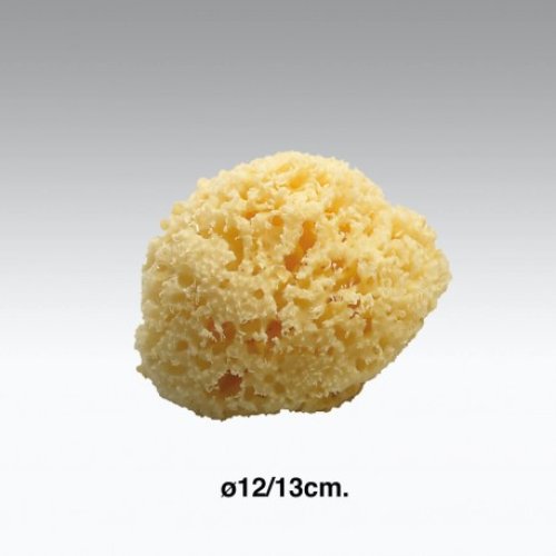 KohINooor Natural Bath Sponge 1213cm COD 9M