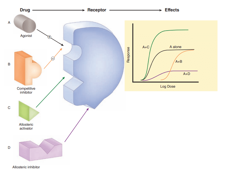 Deciphering the Dance of DrugReceptor Interactions PharmaFeatures