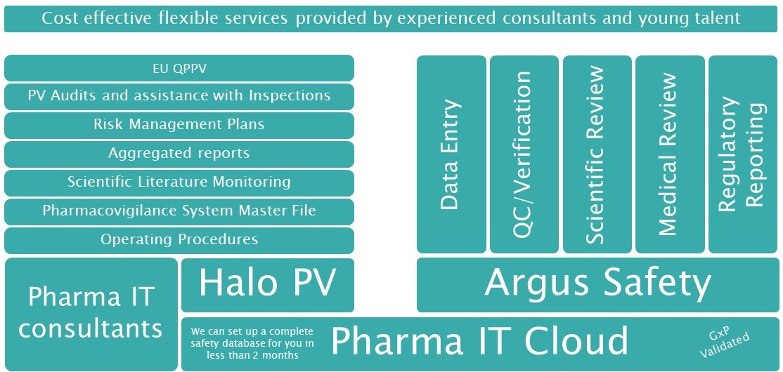Drug Safety & Pharmacovigilance Consulting Pharma IT
