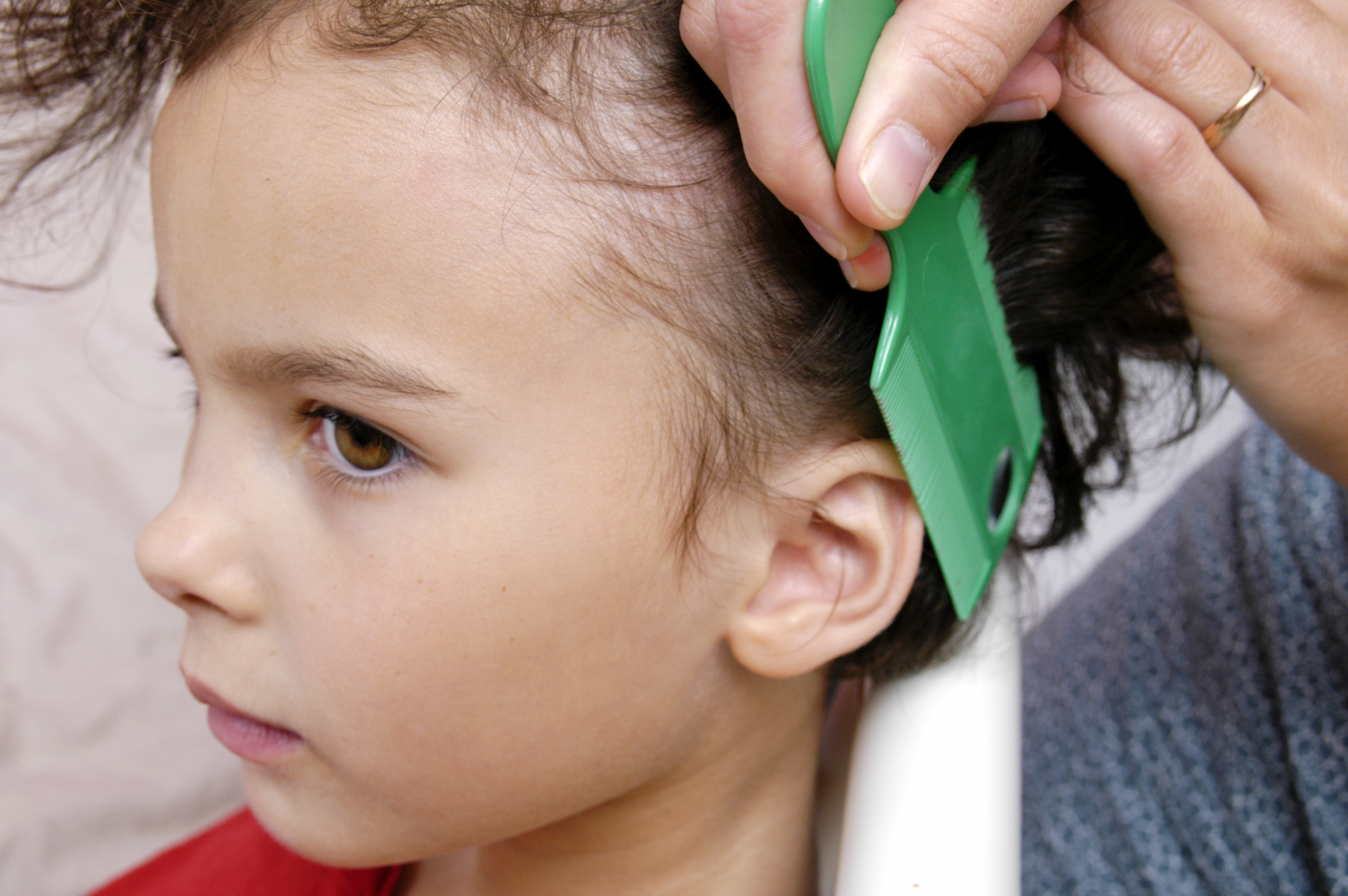 Pharmamum Cases Head Lice Pharmamum