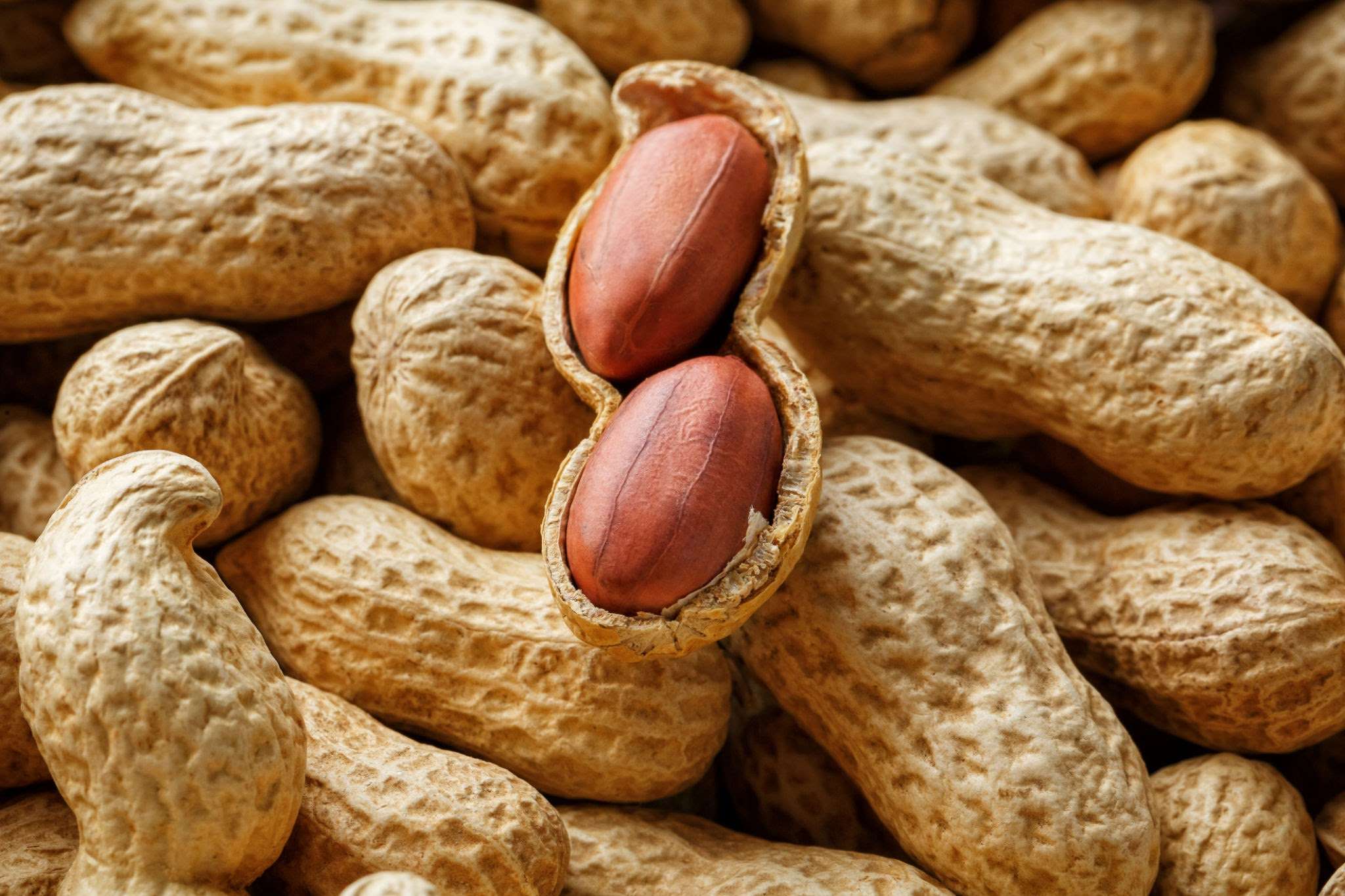 Groundnut, the Earthnut of Great Value