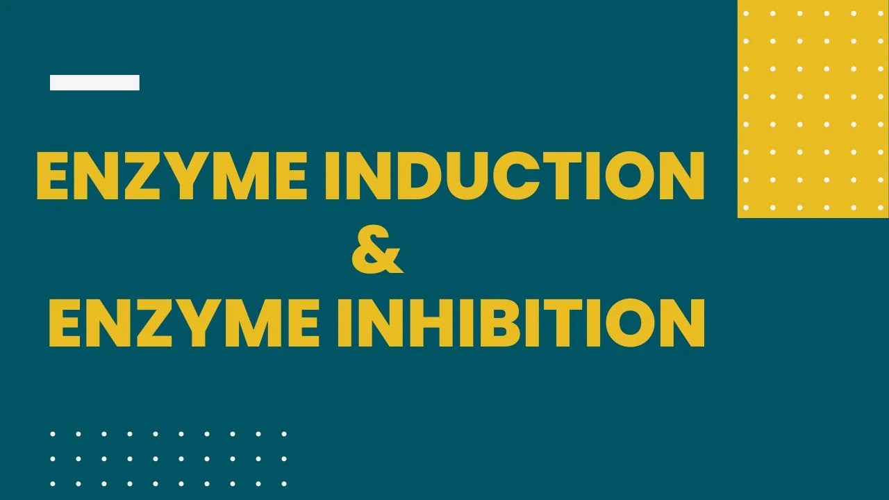 Enzyme Induction and Enzyme Inhibition Pharmanotes