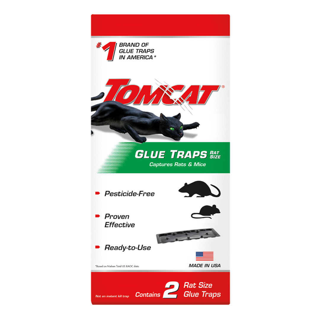 Tomcat Rat Glue Boards Pharmbarn Animal Health Warehouse