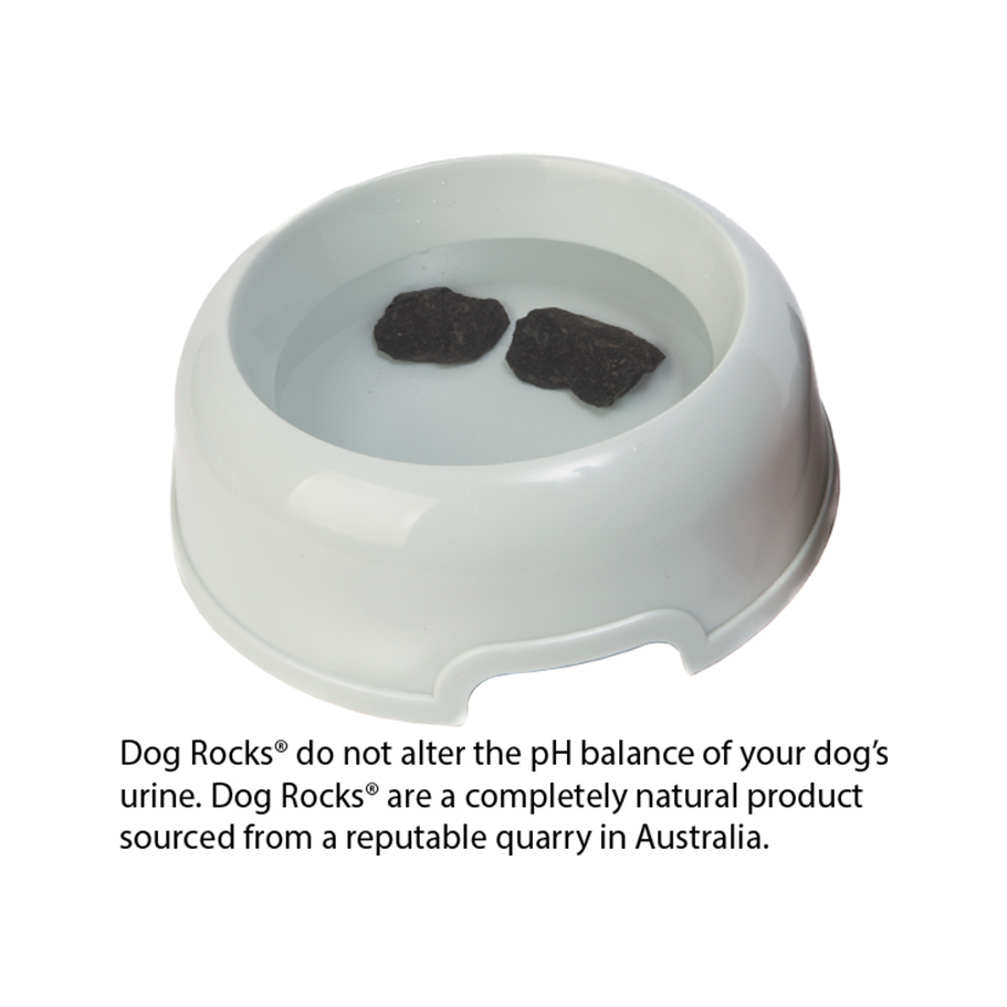 Dog Rocks Pharmbarn Animal Health Warehouse