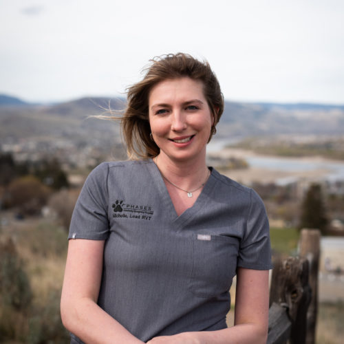 About us Phases Veterinary Emergency Hospital in Kamloops, BC