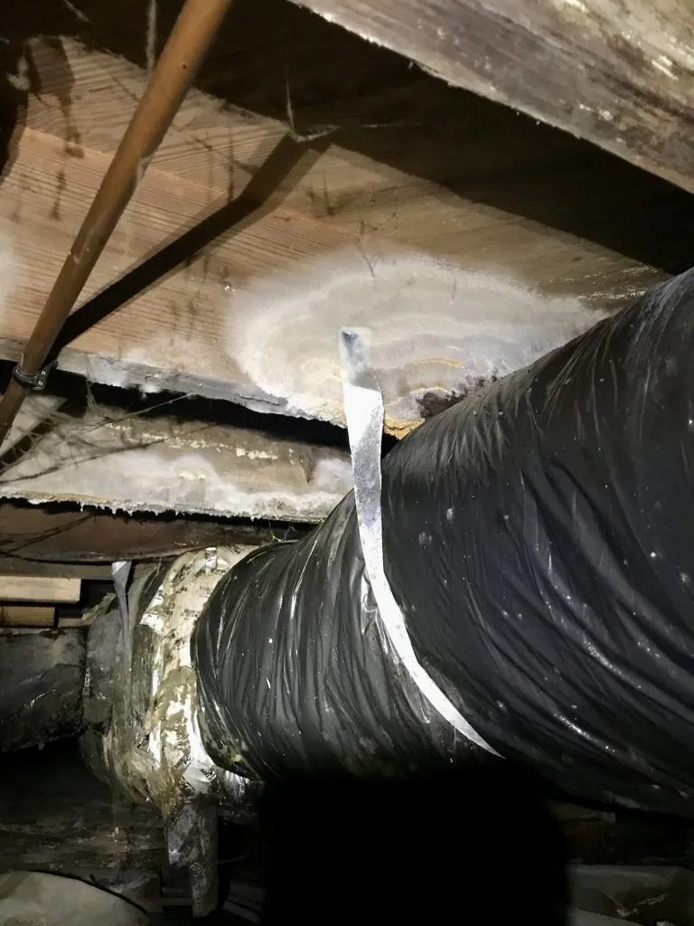 Healthy Crawl Space, Healthy Home PHC Restoration