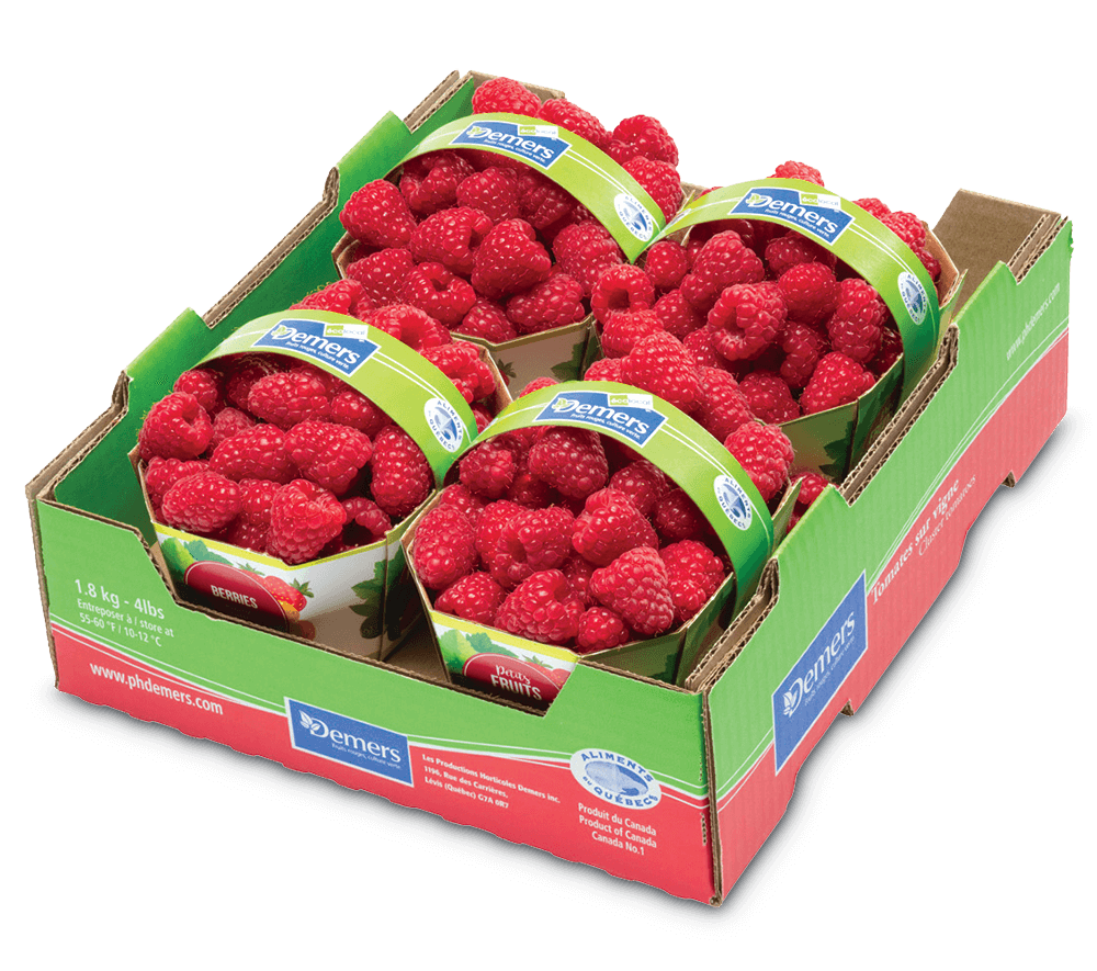 Framboises 2L PH Demers