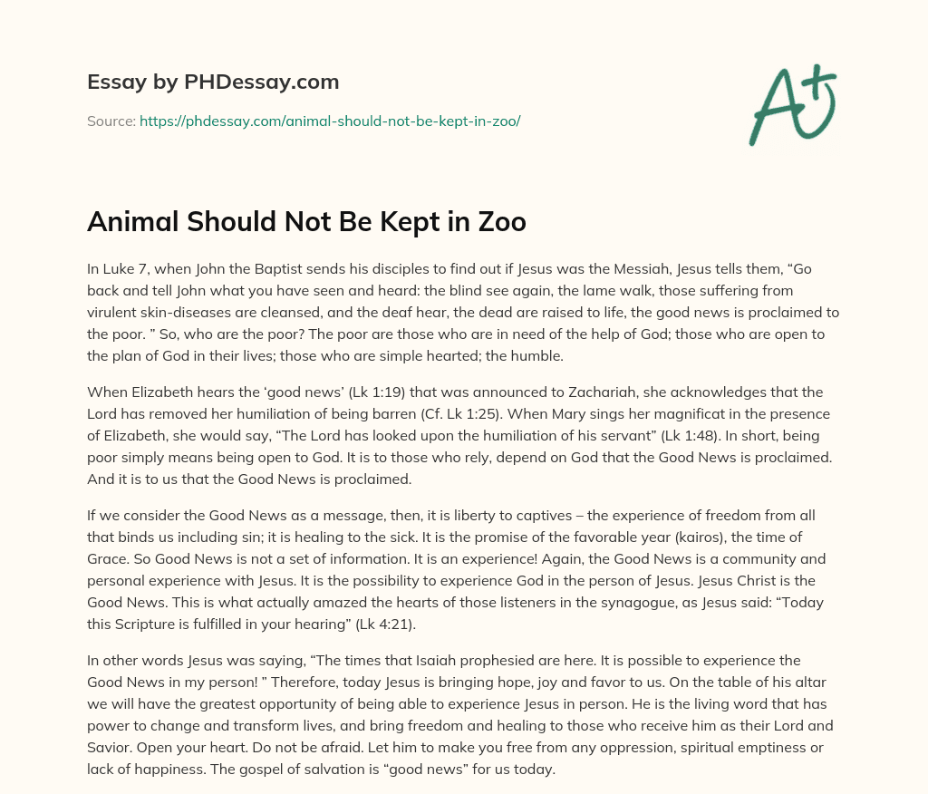 Animal Should Not Be Kept in Zoo (400 Words)