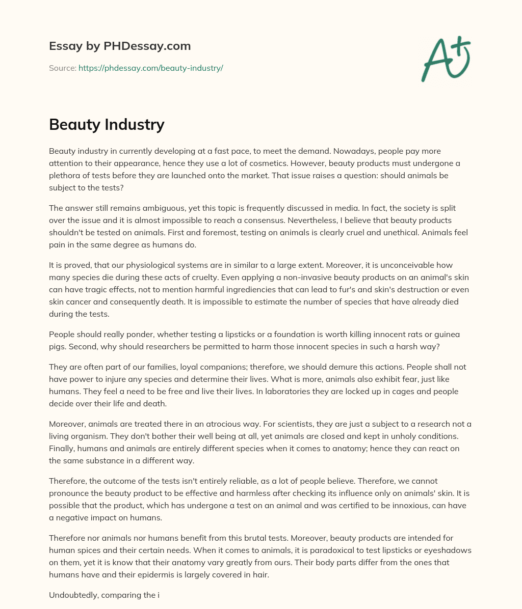 Beauty Industry Essay Example (500 Words)