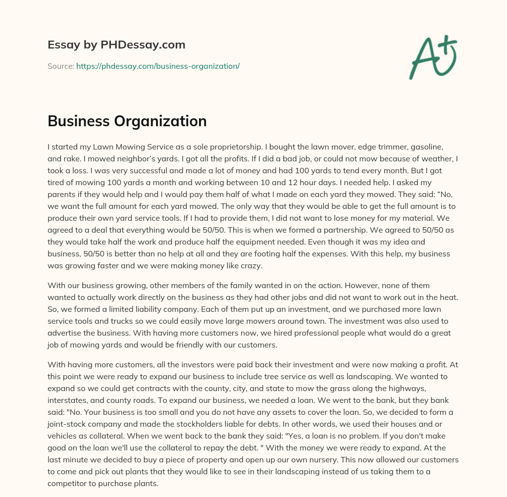 Business Organization (600 Words)