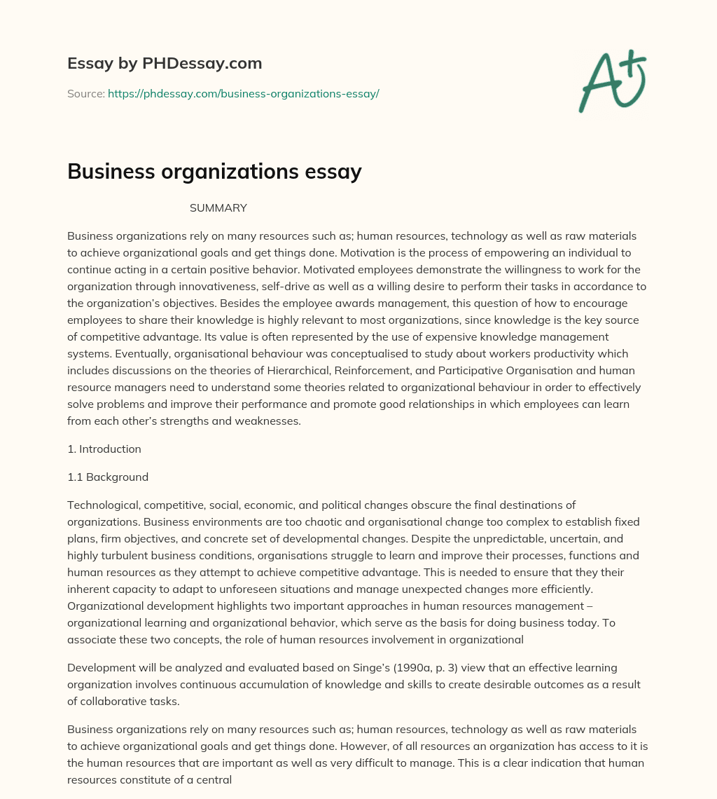 Business organizations essay