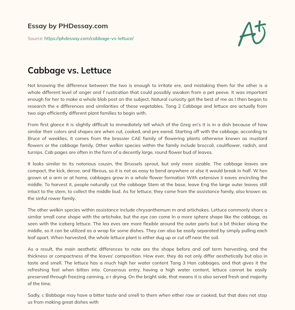 Cabbage vs. Lettuce