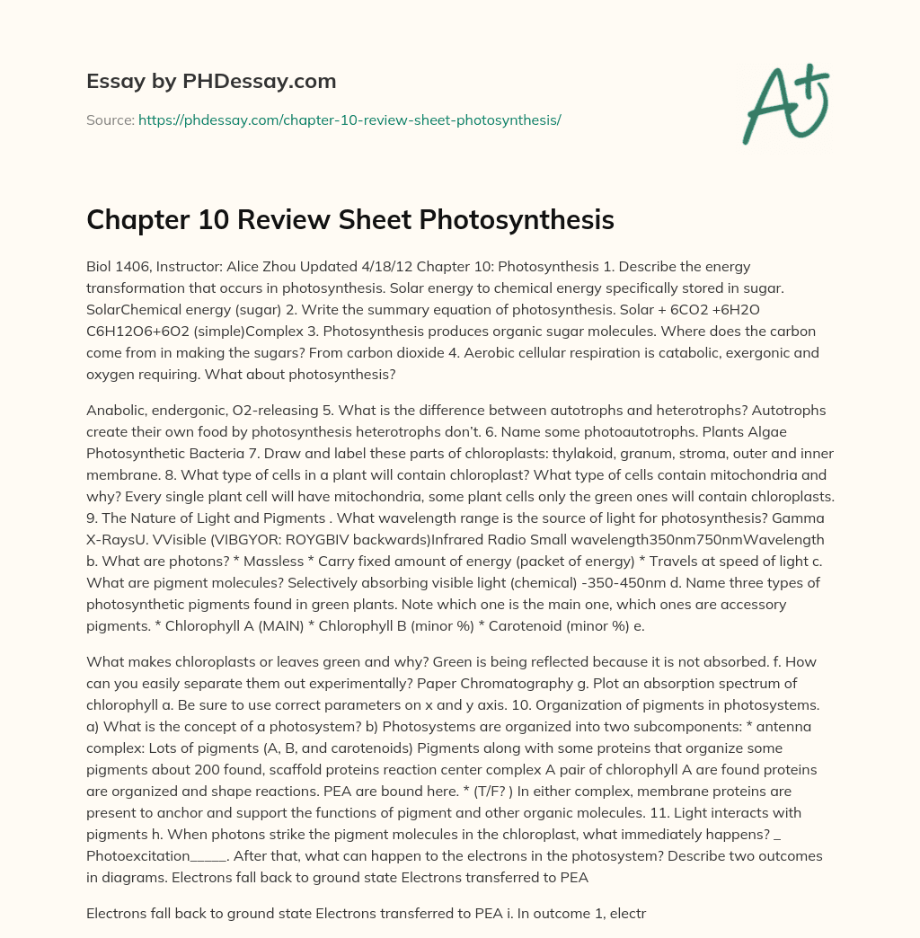 Chapter 10 Review Sheet Photosynthesis - PHDessay.com