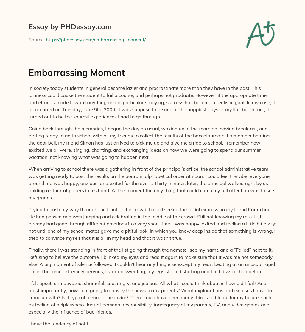 Embarrassing Moment Essay Example