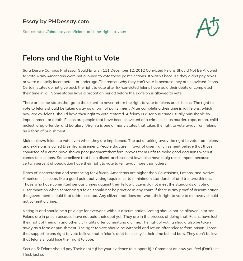 Felons And The Right To Vote Essay Example