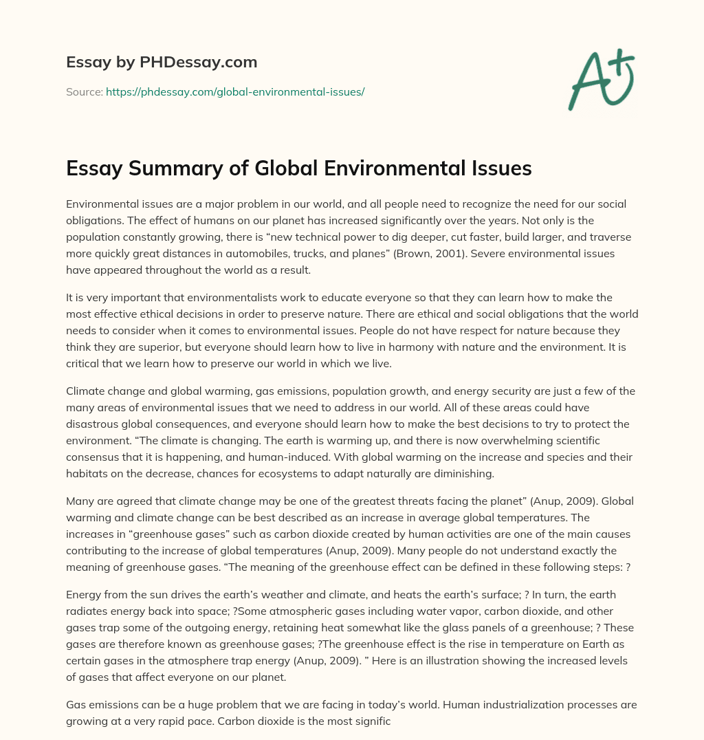 Essay Summary of Global Environmental Issues
