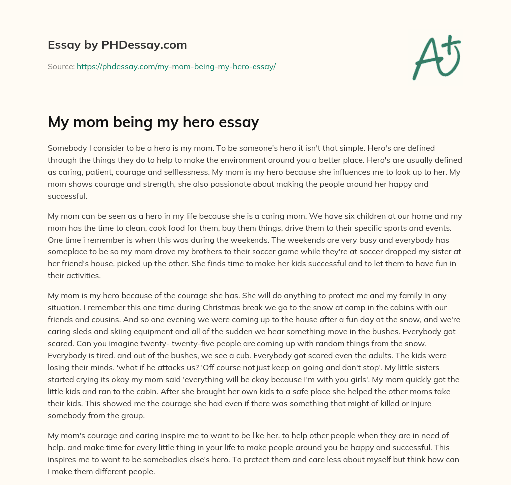 My mom being my hero essay (500 Words)