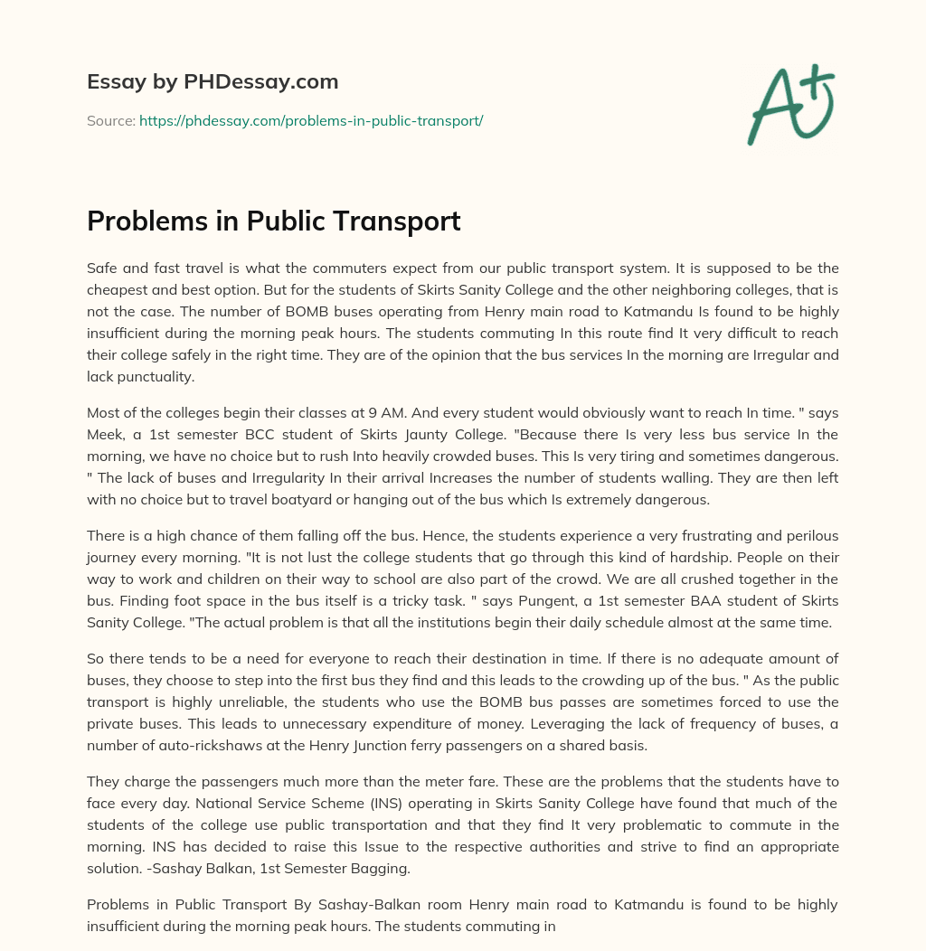 Problems in Public Transport