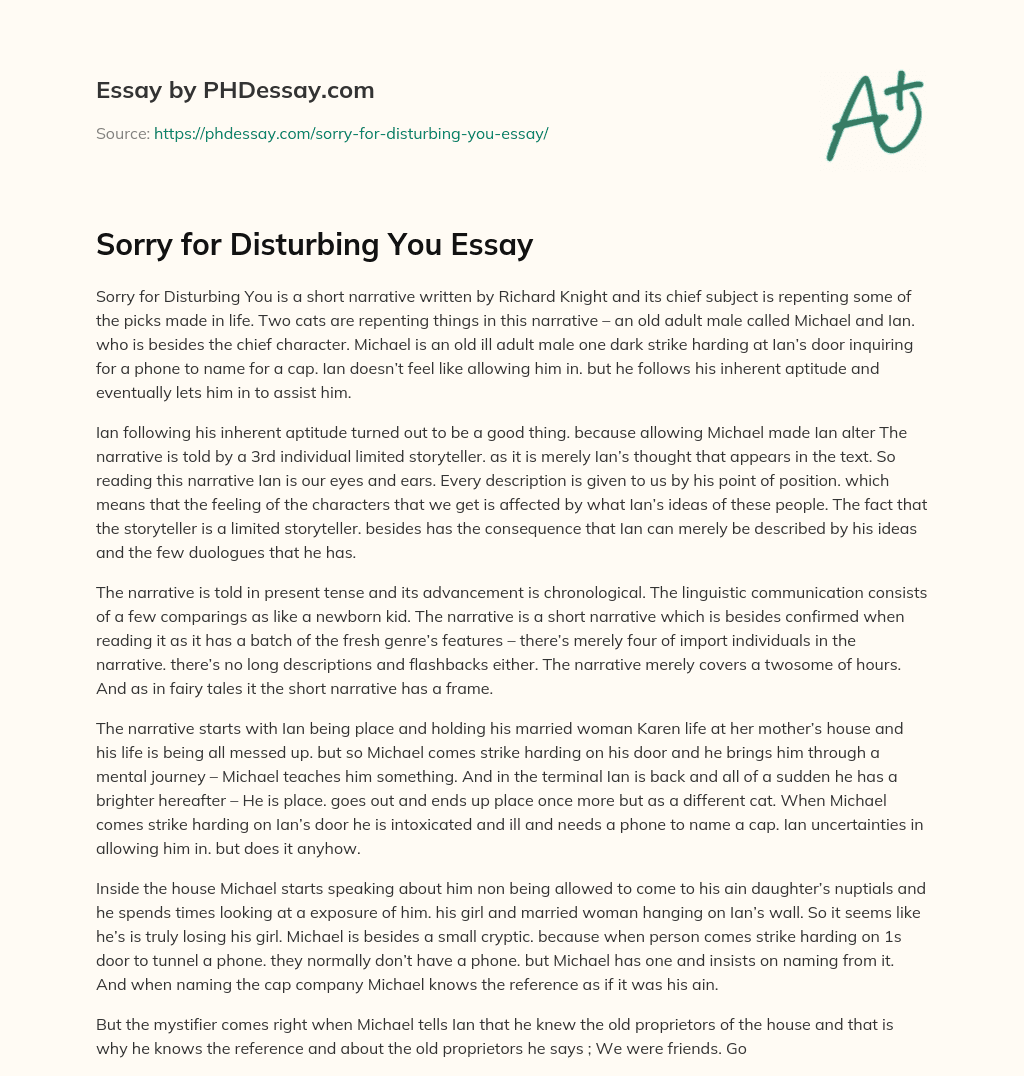 Sorry for Disturbing You Essay