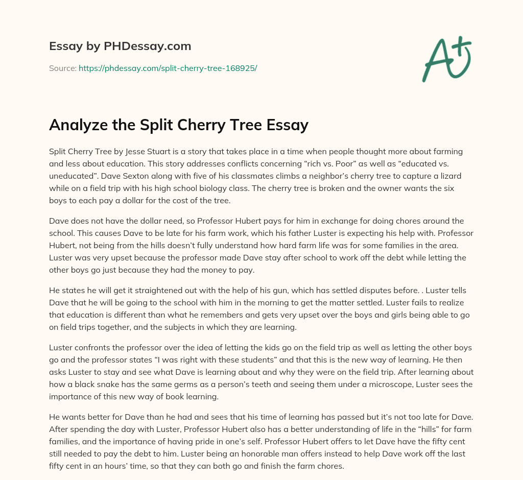 Analyze The Split Cherry Tree Summary And Analysis Essay Example (500