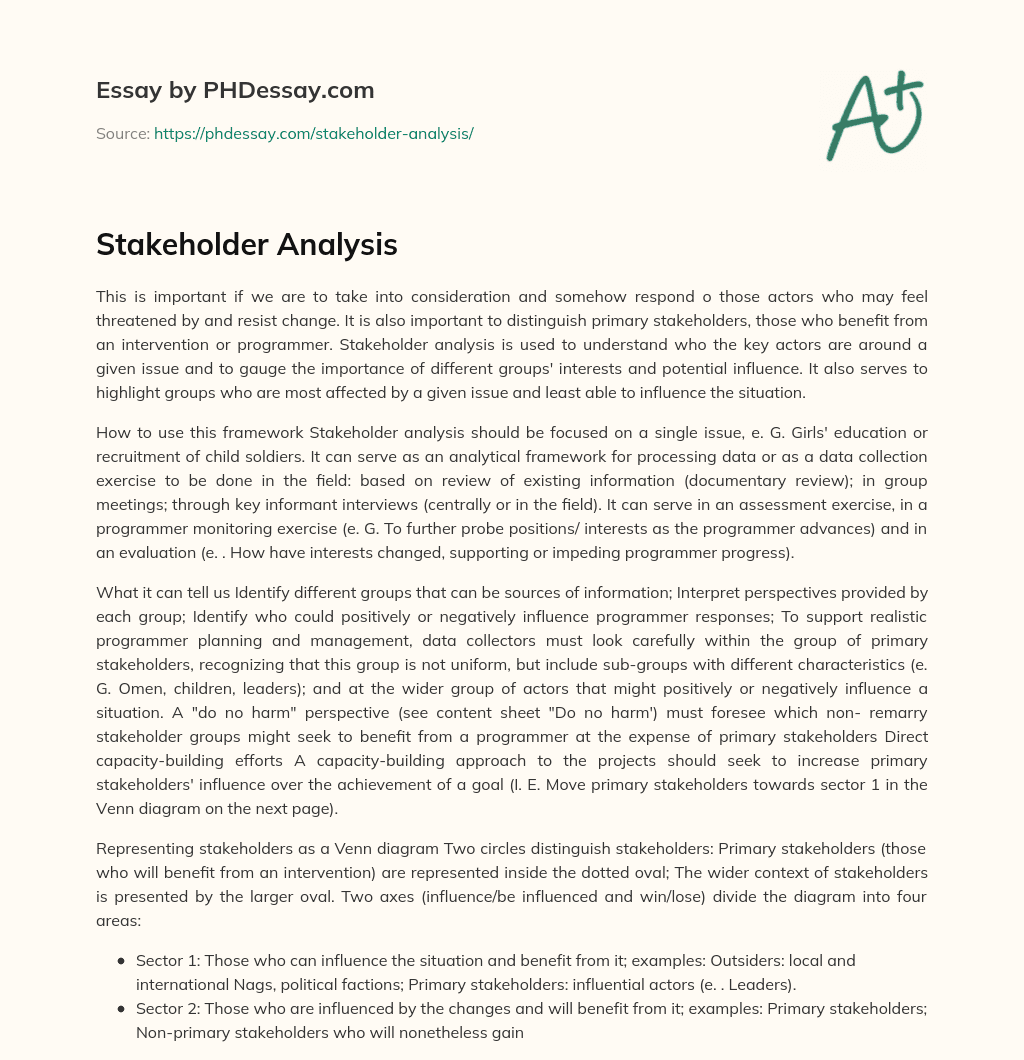 Stakeholder Analysis Essay Example (500 Words)
