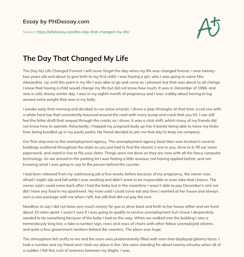 The Day That Changed My Life Essay Example