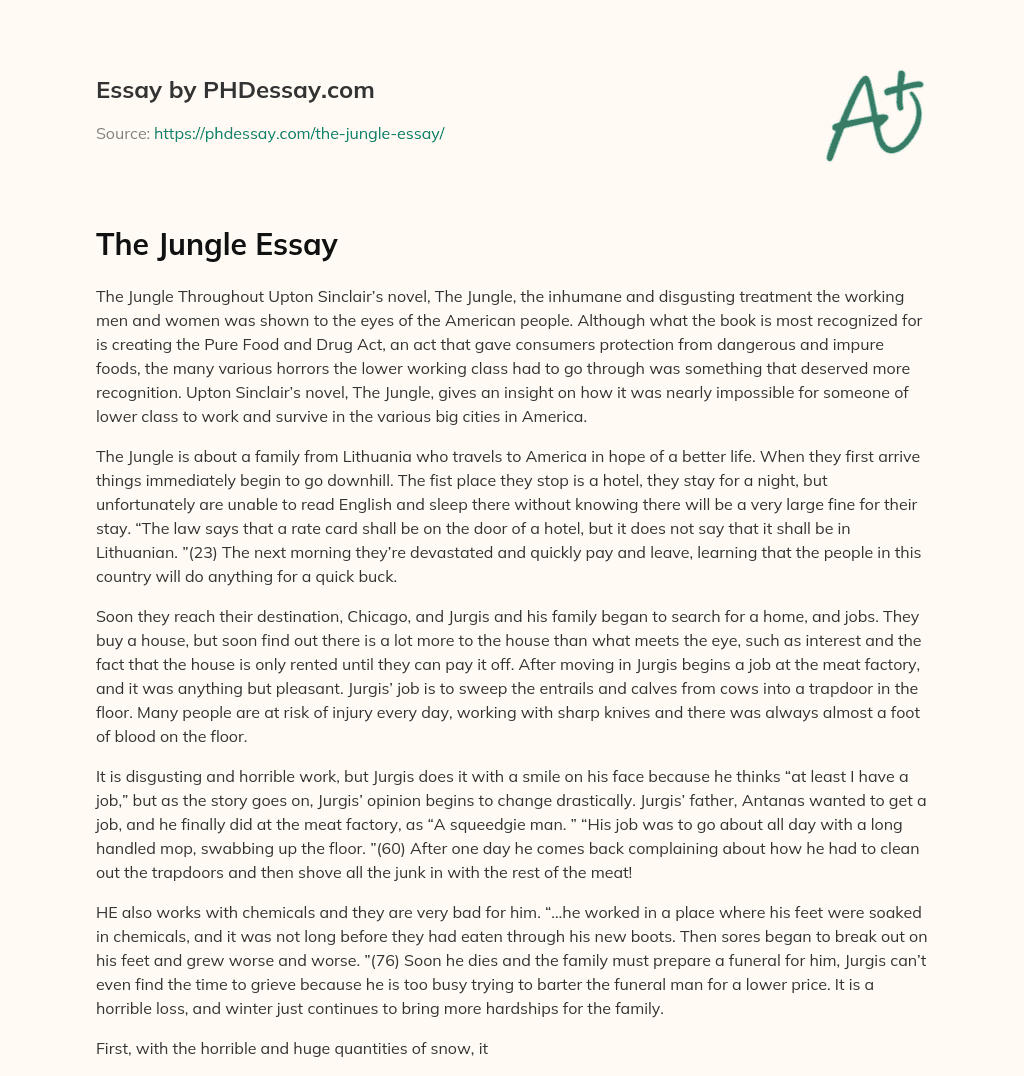 The Jungle Essay