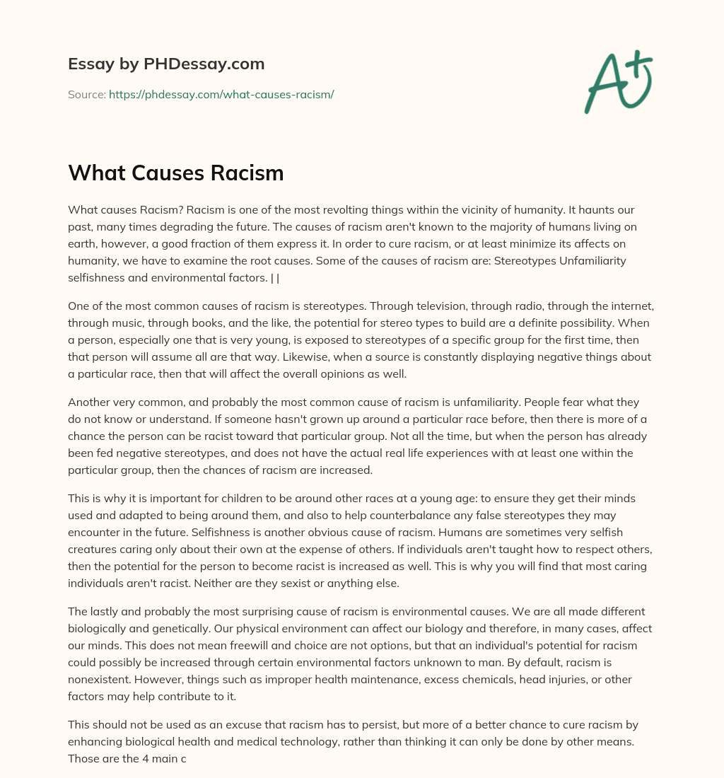 What Causes Racism Essay Example (500 Words)