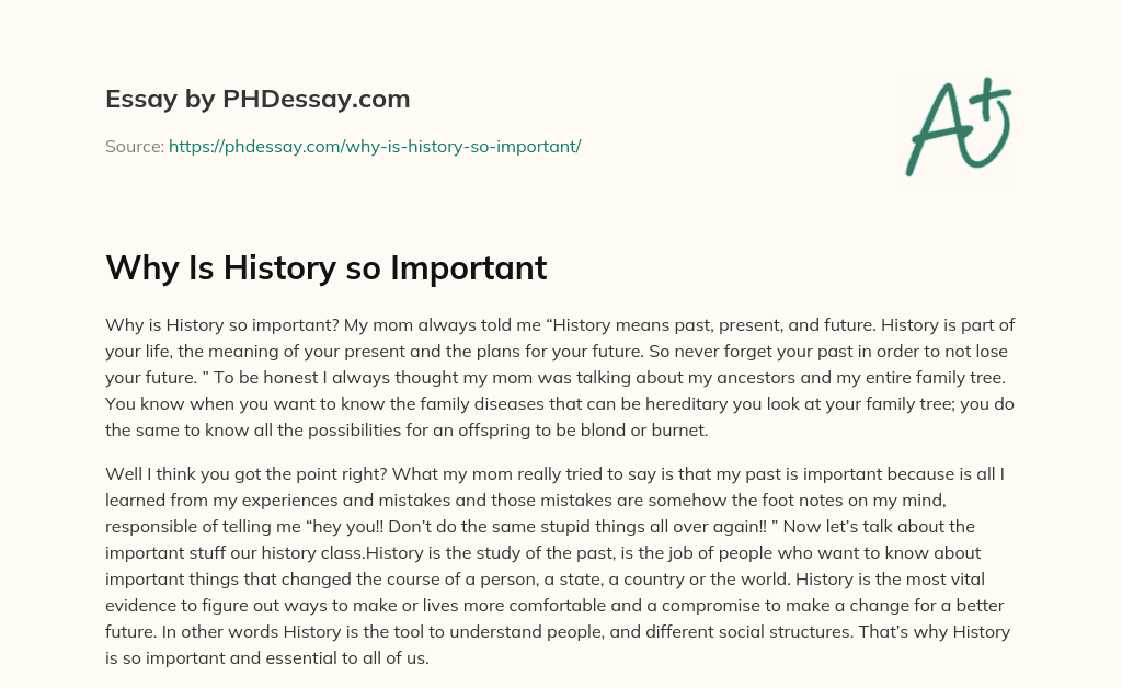 Why Is History so Important (300 Words)